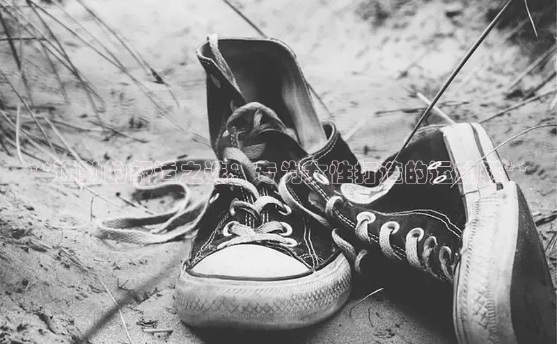 球速app官网登录入口每日互动**通勤的舒适之选：专为女性打造的运动鞋**