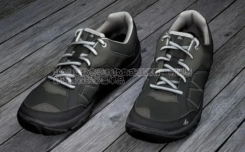 球速体育网页版登陆入口小度商城2024 年秋冬季新款女式粗跟鞋：时尚与
舒适兼得的必备单品