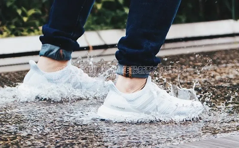 球速体育app下载官方普信公司《时尚前卫！2024 年最新耐克板鞋男
款，打造潮流风尚》