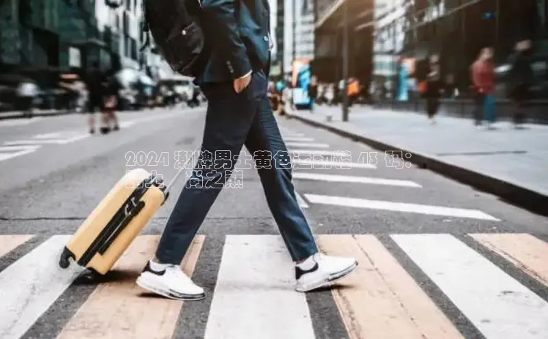 球速体育app百度网盘企业版2024 潮牌男士黄色运动鞋 43 码：
踏上時尚之巅