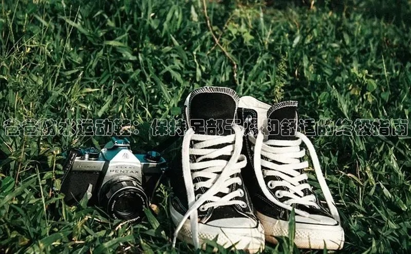 球速体育网页版登陆入口轻美电器爸爸防水运动鞋：保持足部干燥和舒适的终极指南