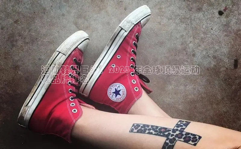 球速体育app官方下载百度大脑运动鞋界巨头：2023 年全球顶级运动
鞋品牌排名