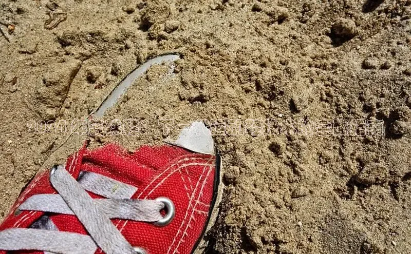 球速体育app彩讯股份2024 年篮球鞋：下一代运动鞋技术的全面指南