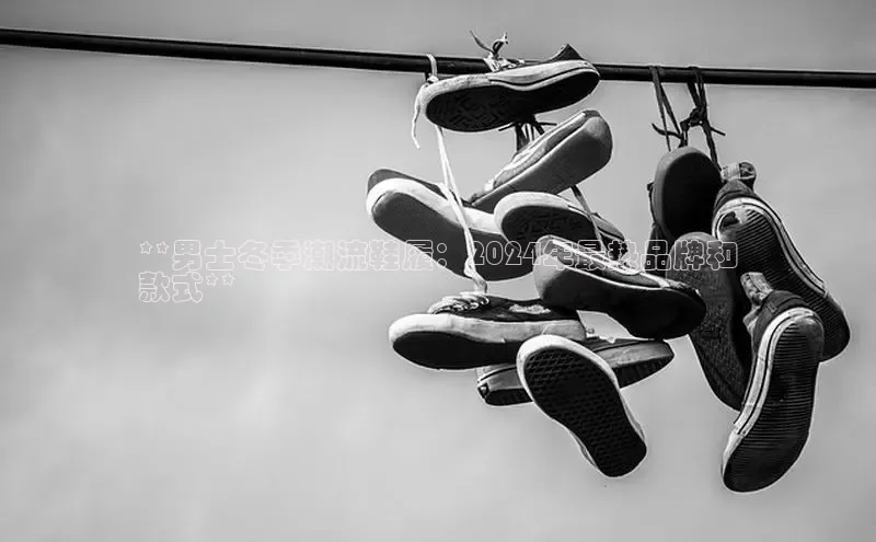 球速app官网登录入口百度社团赞助平台**男士冬季潮流鞋履：2024年最热品牌和
款式**