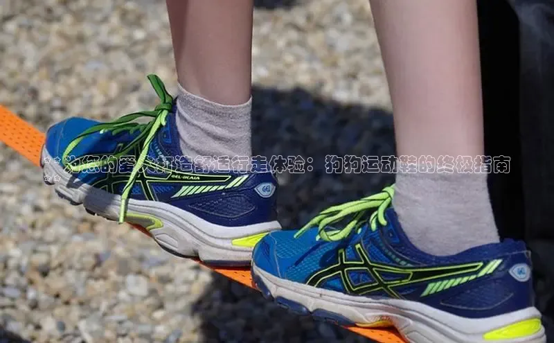 球速体育app下载官方字节跳动**为您的爱犬打造舒适行走体验：狗狗运动鞋的终极指南
**