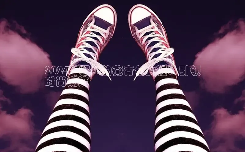 球速app官网登录入口百度社团赞助平台2024年最IN的藏青色女鞋：引领
时尚潮流