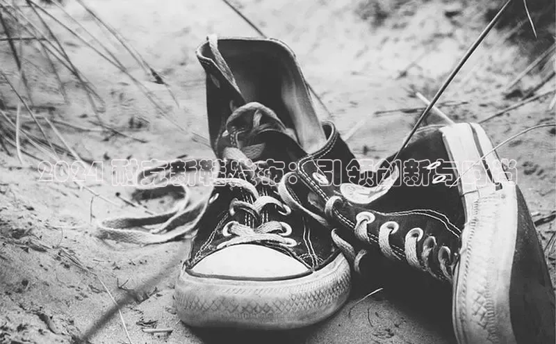 welcome-球速体育携程2024 耐克新鞋发布：引领创新与时尚