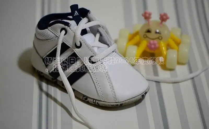 球速体育官网雷柏科技畅爽夏日！透气男鞋2024年度爆款
，打造凉爽新体验