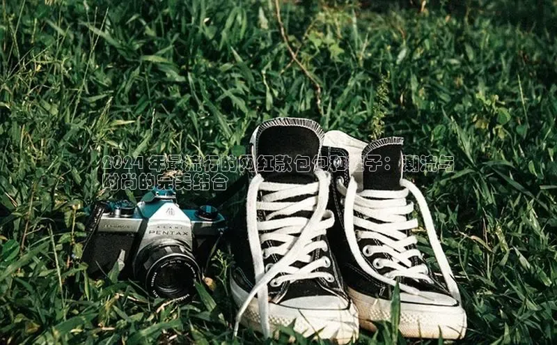球速体育app登录入口汉得信息2024 年最流行的网红款包包和鞋子：潮流与
时尚的完美结合
