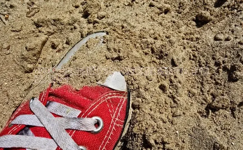 球速体育app下载地址手机版百度数据开放平台2024 年女士御姐风格鞋履最新潮流指南：打造
迷人风姿