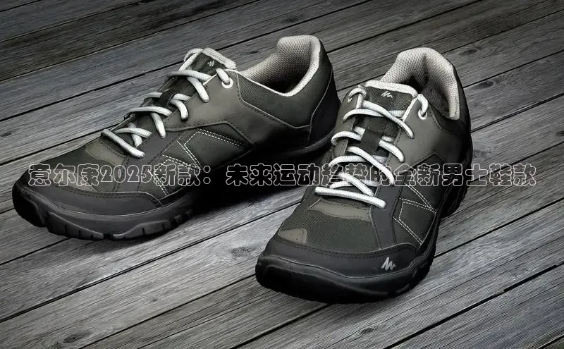球速体育网页版登录入口百度技术学院意尔康2025新款：未来运动趋势的全新男士鞋款