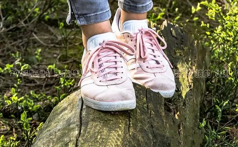 2025展望：未来趋势的运动鞋设计——从白鞋到科技的飞跃