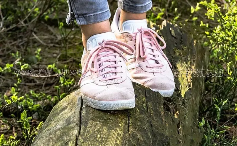 球速体育app登录入口