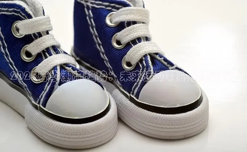 球速体育网页版