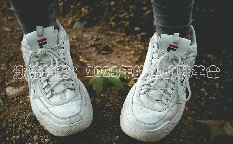 球速体育网页版登录入口