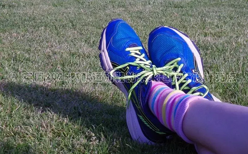 速球体育官方入口地址